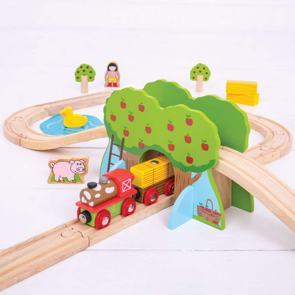 Bigjigs Farm Train Set