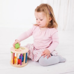 Bigjigs First Rolling Shape Sorter