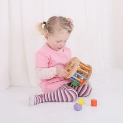 Bigjigs First Rolling Shape Sorter