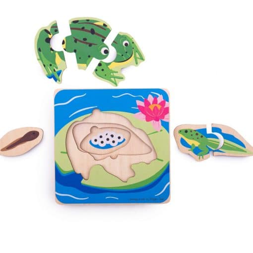 Bigjigs Frog Lifecycle Layer Puzzle