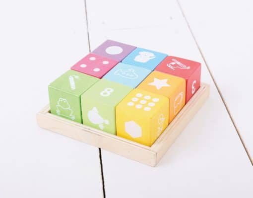 Bigjigs Picture Blocks