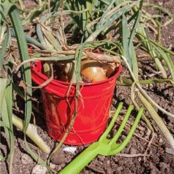 Bigjigs Red Metal Bucket