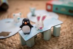 Djeco Little Cooperation Game