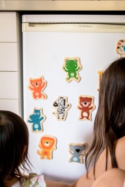 Djeco Wooden Magnetic Jungle Set