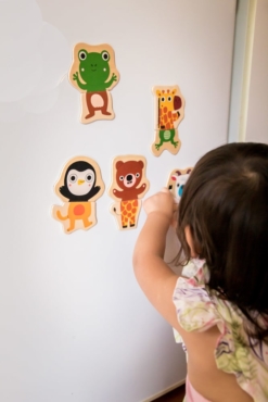 Djeco Wooden Magnetic Jungle Set