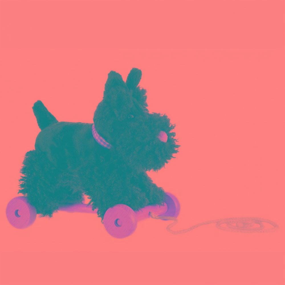 Egmont Pull Along Dog Walter