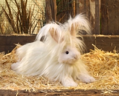 Folkmanis Angora Rabbit Puppet
