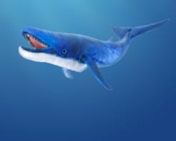 Folkmanis Blue Whale Puppet