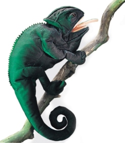 Folkmanis Chameleon Puppet