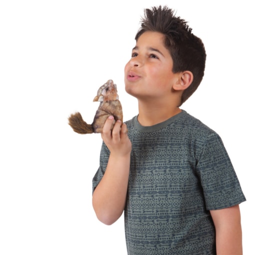 Folkmanis Coyote Finger Puppets