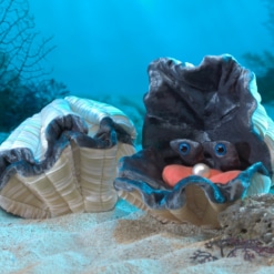 Folkmanis Giant Clam Puppet