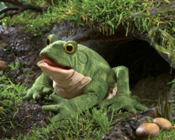 Folkmanis Green Toad Puppet
