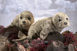 Folkmanis Harbour Seal Puppet