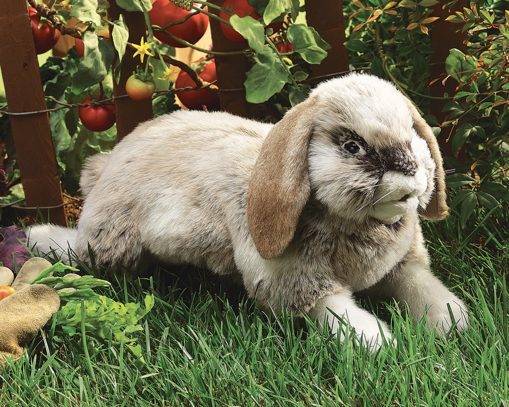 Folkmanis Holland Lop Eared Rabbit