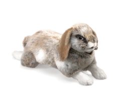 Folkmanis Holland Lop Eared Rabbit