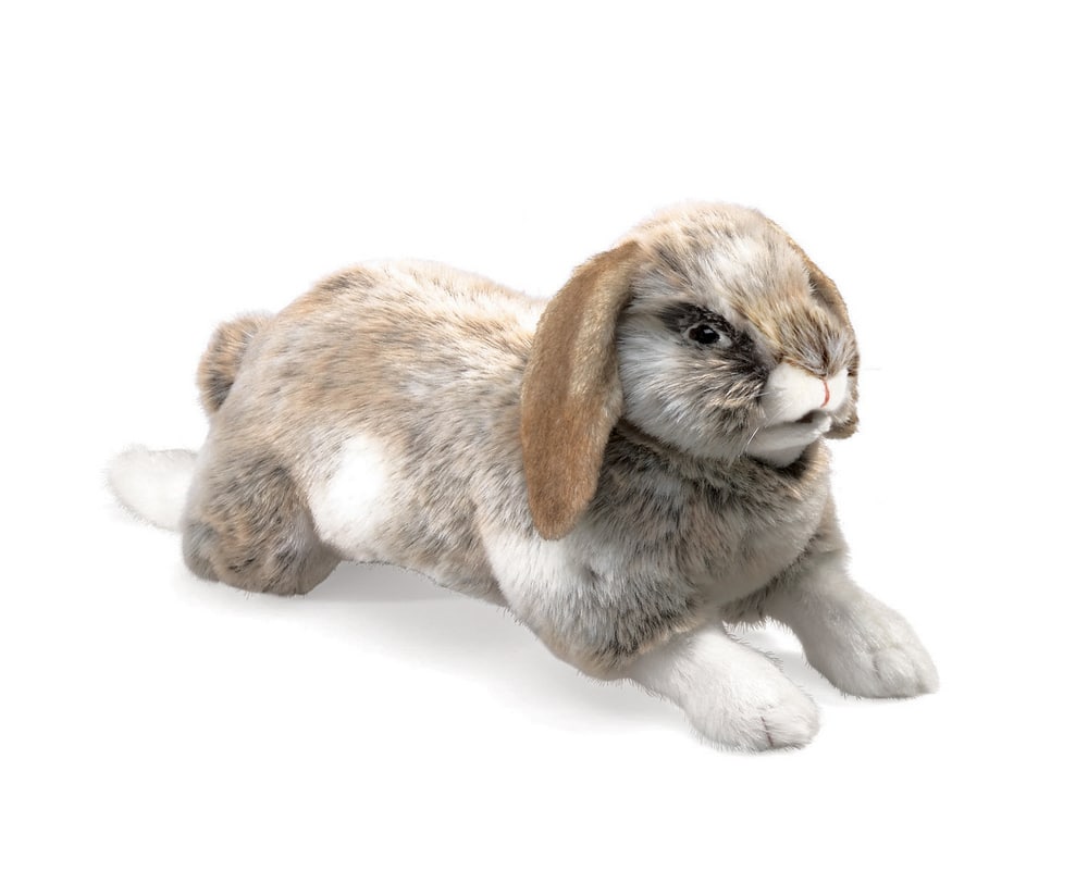 Folkmanis Holland Lop Eared Rabbit