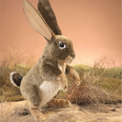 Folkmanis Jack Rabbit Puppet