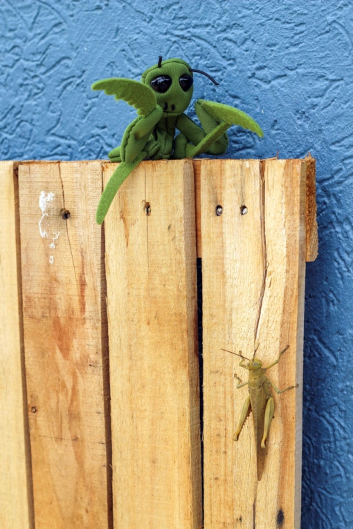 Folkmanis Praying Mantis Puppet