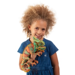 Folkmanis Small Chameleon Puppet