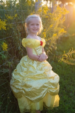 Great Pretenders Deluxe Belle Gown - Size 5-6