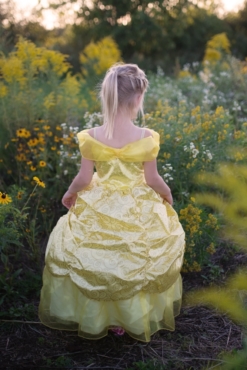 Great Pretenders Deluxe Belle Gown - Size 5-6