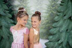 Great Pretenders Dusty Rose Holiday Ballerina Dress - Size 5-6