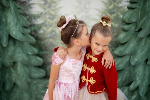 Great Pretenders Dusty Rose Holiday Ballerina Dress - Size 5-6