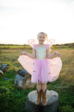 Great Pretenders Gold Sequins Butterfly Dress & Wings - Size 5-7