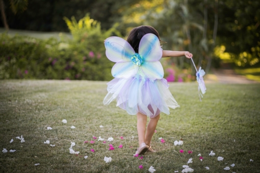 Great Pretenders Green Butterfly Dress & Wings with Wand - Size 5-6