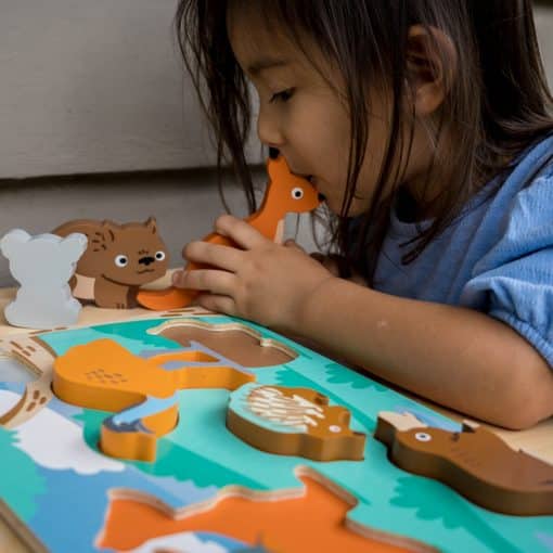 Kiddie Connect Australian Animal Puzzle, Australian wildlife puzzle
