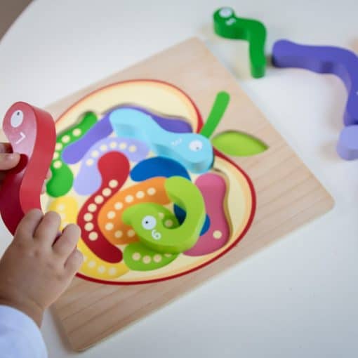 Kiddie Connect Worm Puzzle