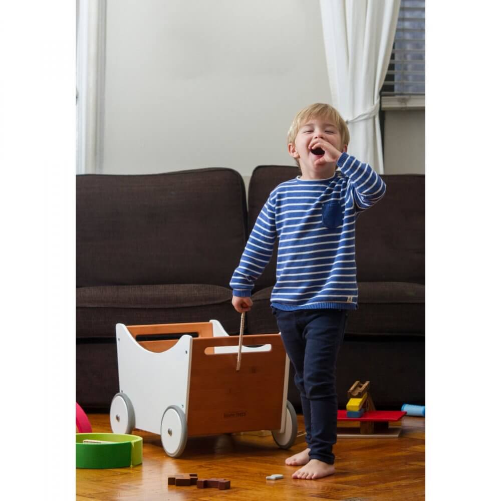 Kinderfeets Toy Box Walker 2 in 1 Jadrem Toys