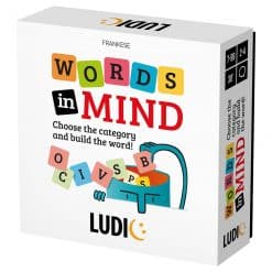 Ludic Words in Mind