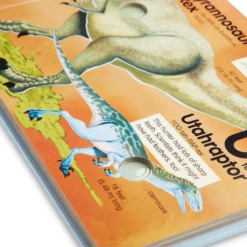 Melisa and Doug Dinosaurs Book