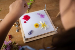 Tender Leaf Toys My Botanical Flower Press