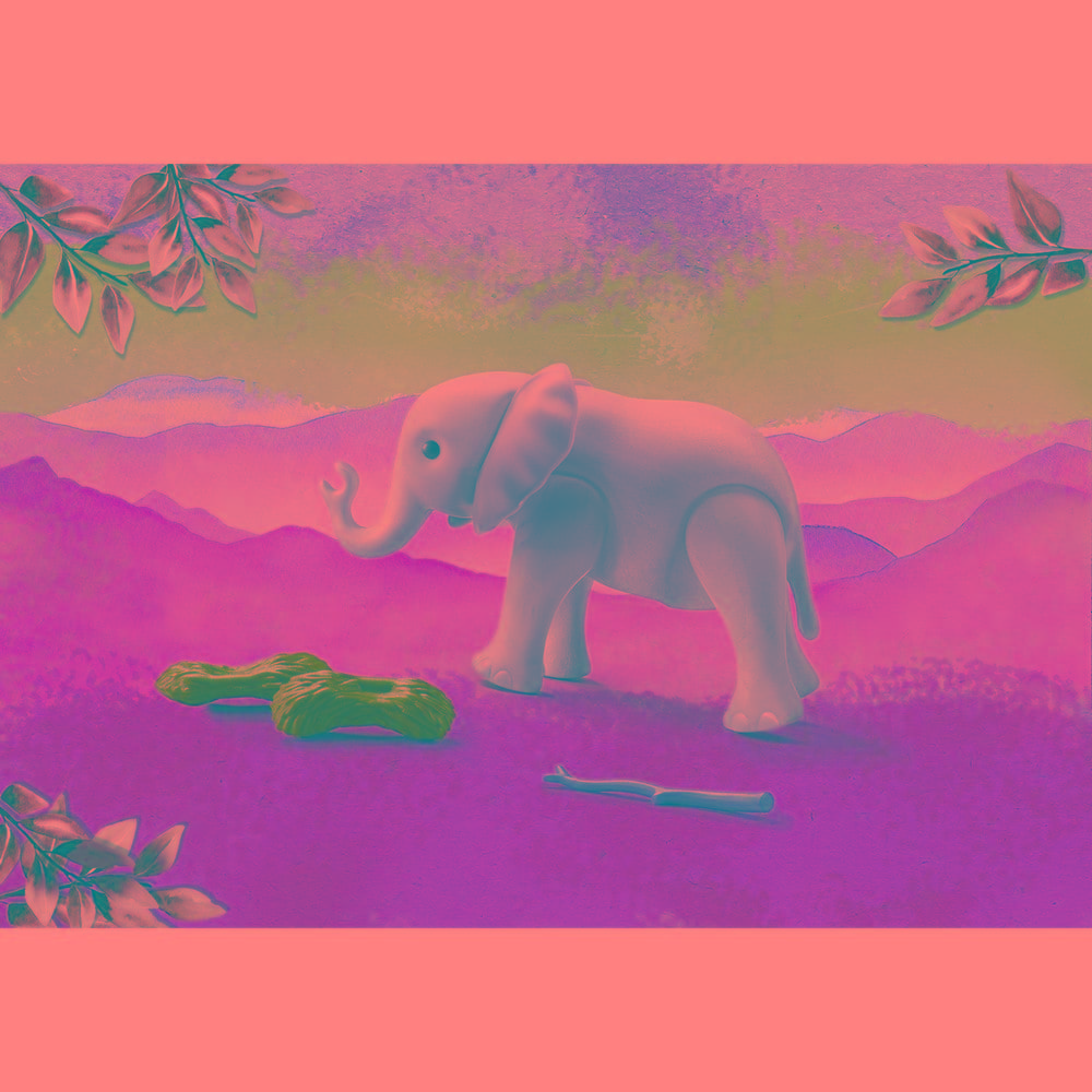 Playmobil® Wiltopia Young Elephant