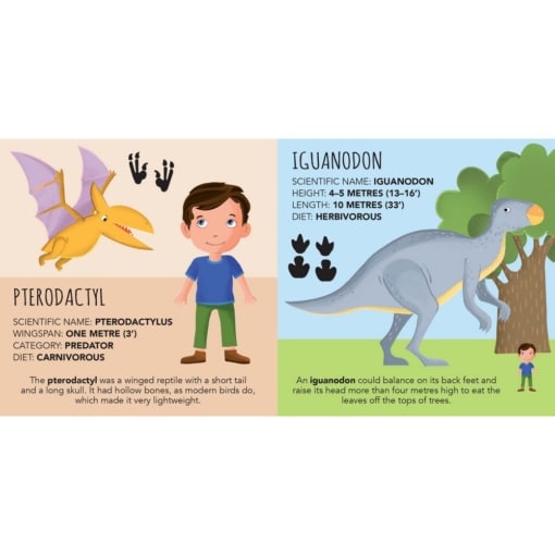 SASSI Dinosaurs Block and Puzzle Set