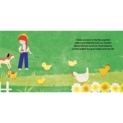 SASSI Farm Book and Puzzle