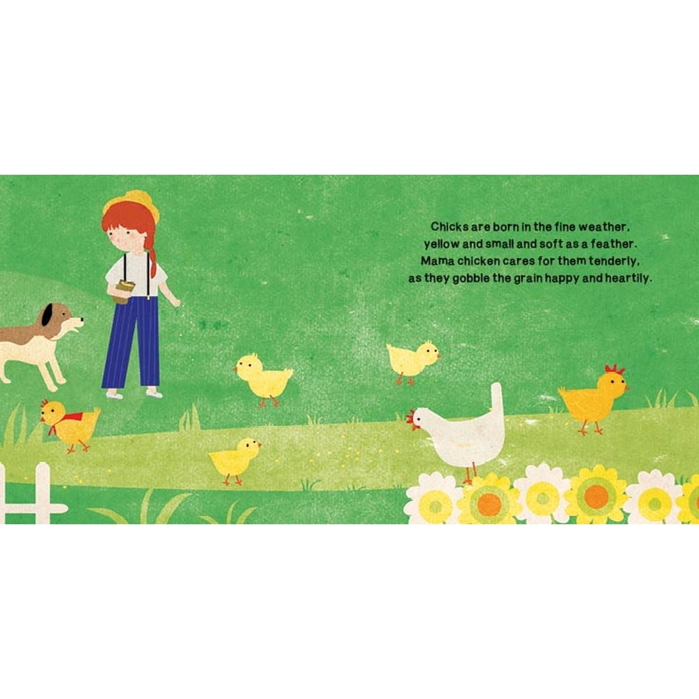SASSI Farm Book and Puzzle