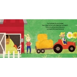 SASSI Farm Book and Puzzle