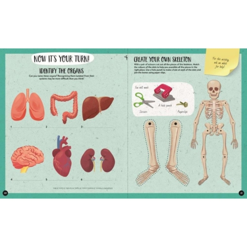 Sassi® The Ultimate Atlas and Puzzle Set - Human Body 3D Model and Puzzle - Image 4