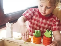 Tender Leaf Counting Carrots