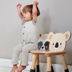 Tender Leaf Forest table with racoon and koala chairs