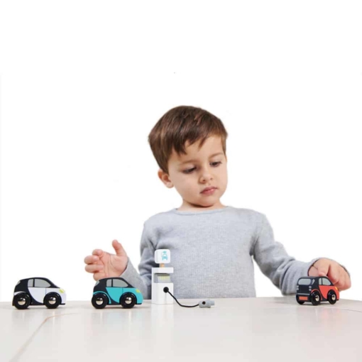Tender Leaf® Smart Car Set - Image 2