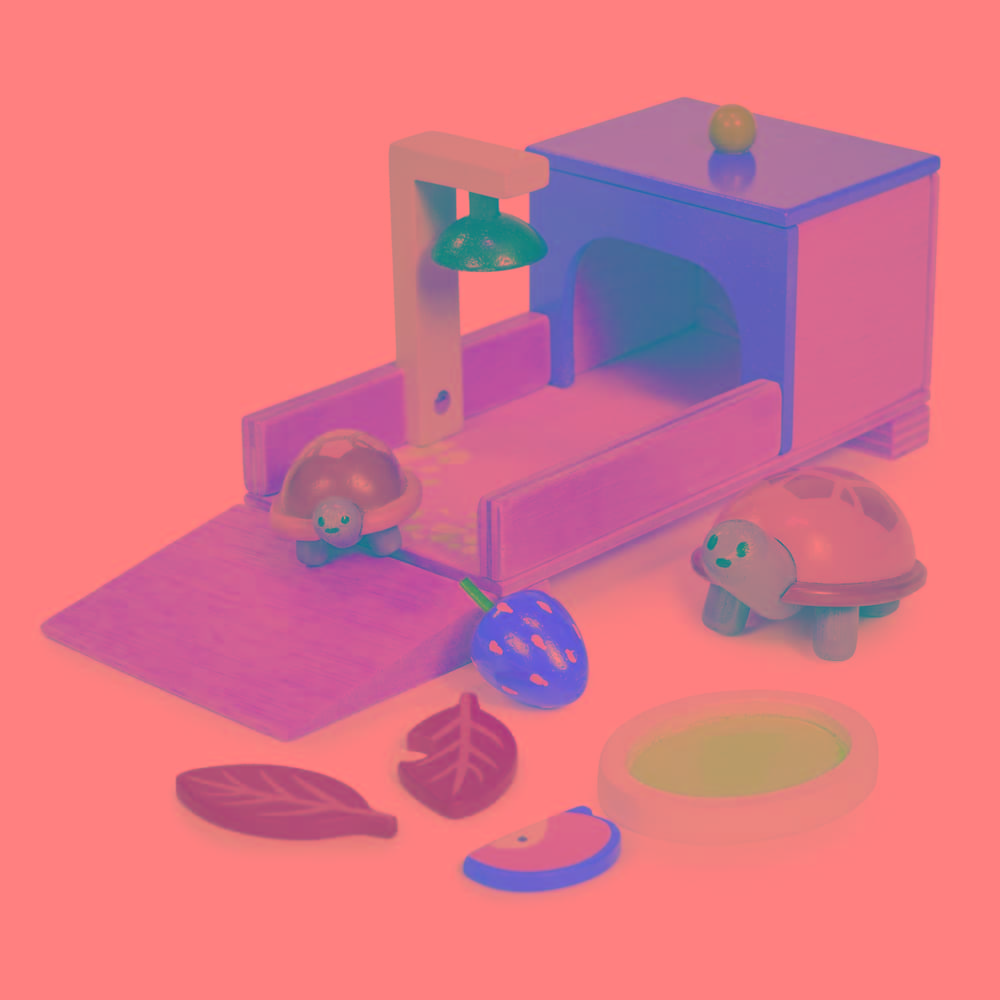 Tender Leaf Toys® Tortoise Pet Set
