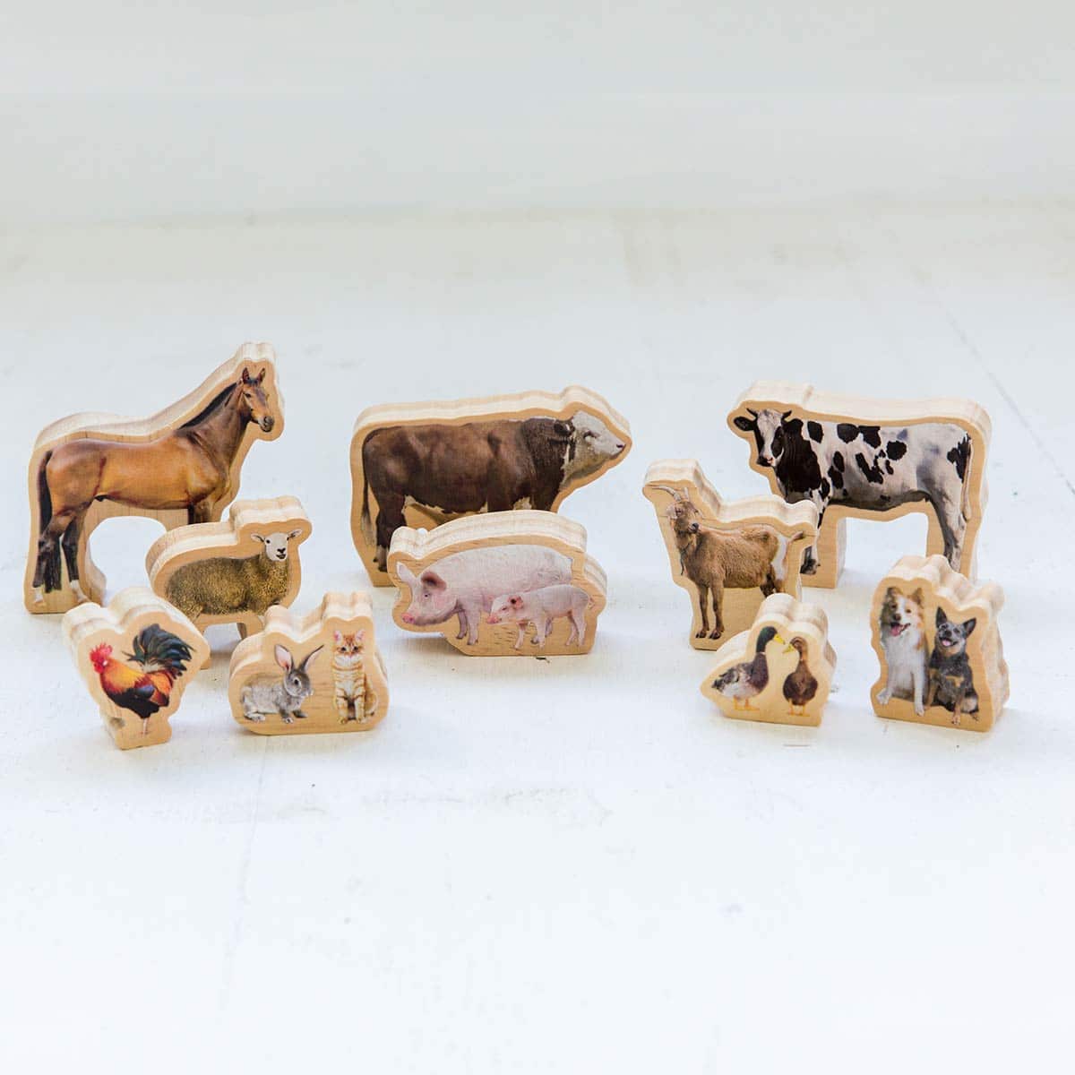 The Freckled Frog My Farm Animals