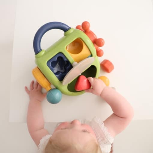 Tolo Toys Bio Activity Shape Box
