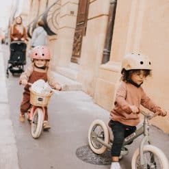 Trybike Basket