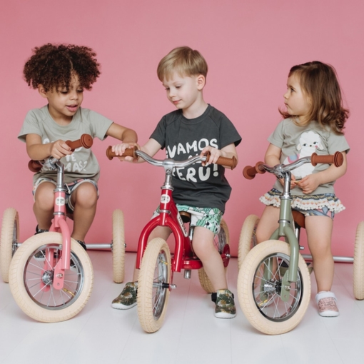 Trybike Steel 2 in 1 Balance Bike Matte Red Vintage - Image 2