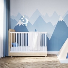 Kids Bedrooms